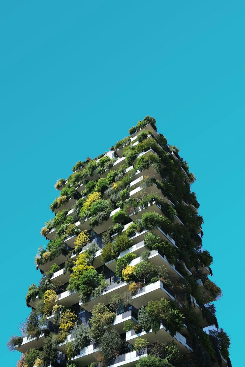 Evergreen Tower