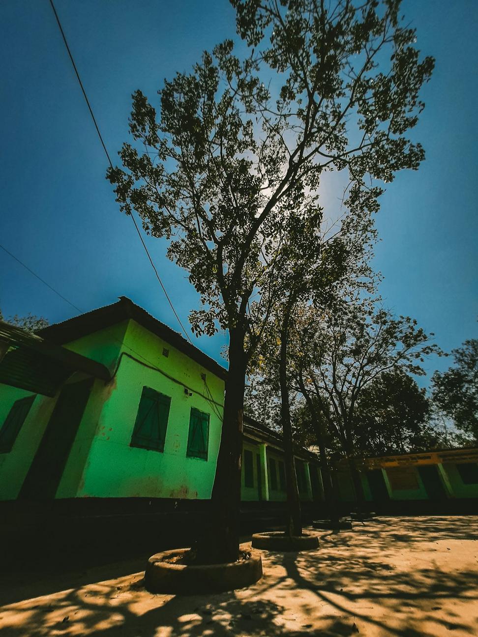 Green District
